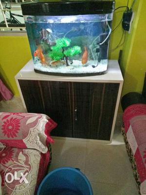Only aquarium tank will sale... with out fish and