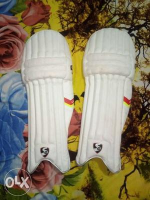 Cricket Kit With Bat
