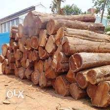 Premium quality wood of different varieties