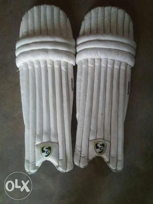SG cricket pads