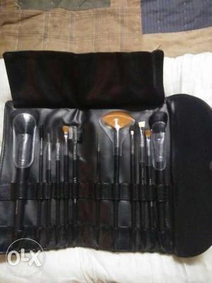 Vega proffessinal makeup brushes kit