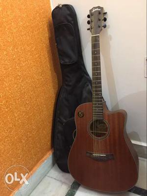 Guitar and cover