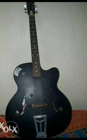 New in condition guitar price little bit