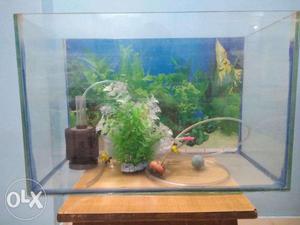 1.5 feet fish tank with acrylic roof and accessories