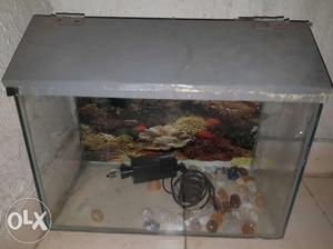 18x10 inches Fish Tank with Air Filter,Pump,stone want to