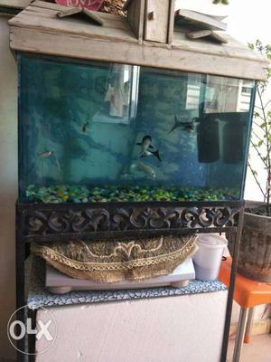2 Foot aquarium with metal rack..