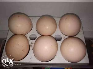 25/- pur picc pure Desi hen egg Four Brown egg