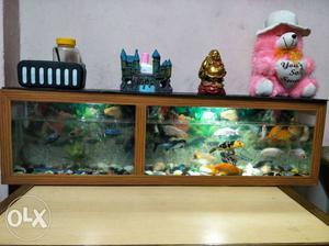 3 Feet Aquarium Good Condition without fish