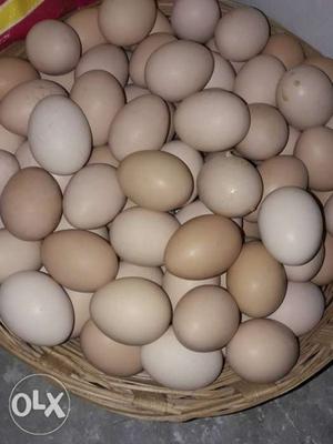 360 par dazon 1oo% kadaknath egg is avelebal