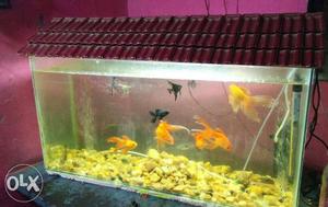 3fit long fish tank with Top,air pump.Gravels, vry