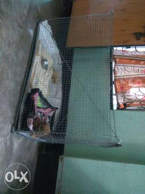3ft/2ft dog cage Home made 2days old