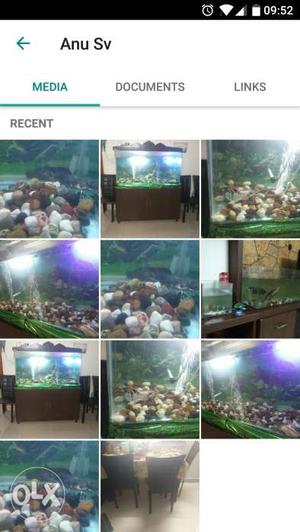 A large aquarium with stand cupboard and 2large