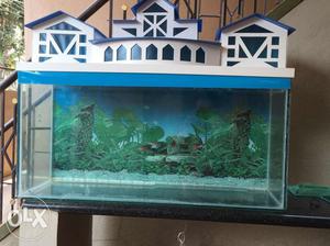 Aquarium full set for very cheap price