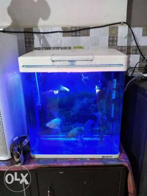 Boyu Aquarium 37 lts..good condition. With