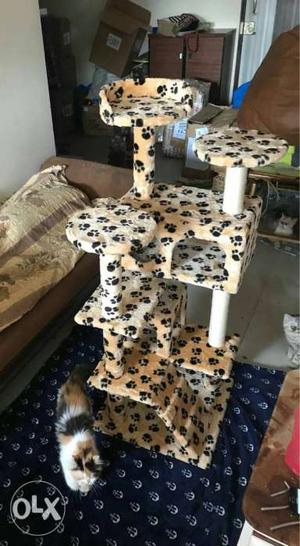 Cat scratcher tree