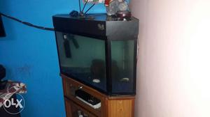 Customade corner fish tank, with stones and