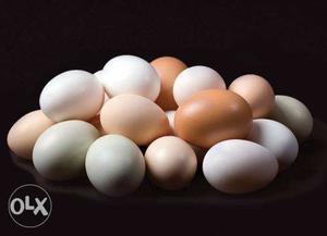 Desi eggs each rs 1o.100% pure organic