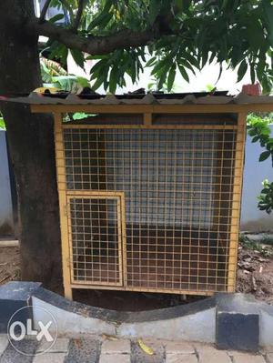 Dog Cage near Alathur Paakkad