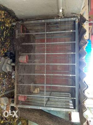 Dog cage made of iron. we made this for Rs.