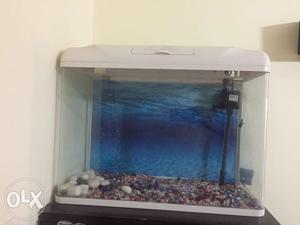 Fish Aquarium - Excellent Condition with water and air pump