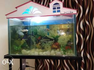 Fish aquarium with aquarium stand and oxygen set