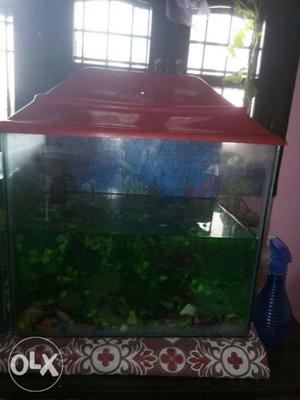 Fish tank, fillter, white small Stones and some