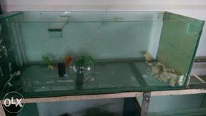 Fish tank  for  for 800