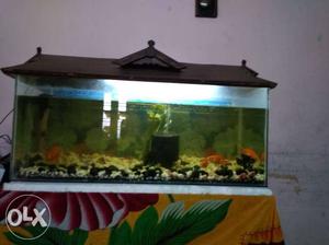 Fish tank. roof. with fish. stone. air filter