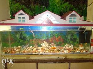 Fish tank with cover inch,100liters,looking
