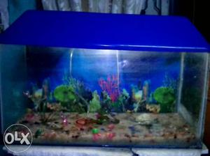 Good canddition aquarium with all accessories