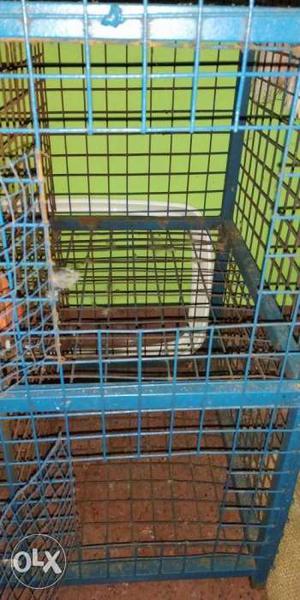 Heavy cage for cat Nd birds Interested person