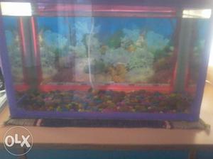 I want to sell my fish aquarium with oxygen motor