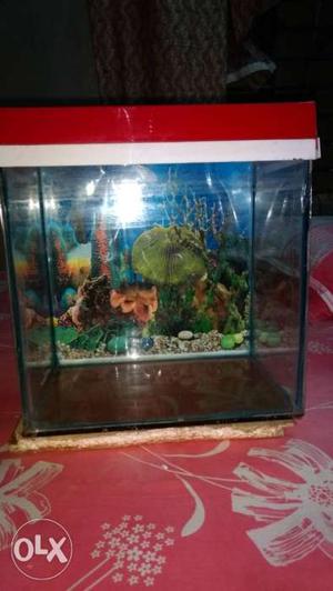 It's a one month aquarium.. totally new condition.1 ft by