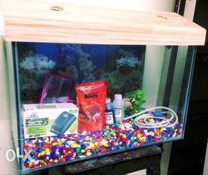New Fish Tank With Accessories