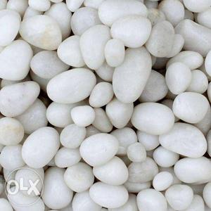 (Pebbles 450g) White Stones For Sell Trust Aquarium Service.
