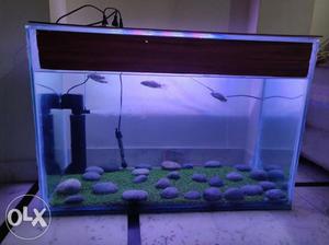 Rectangular Clear Fish Tank