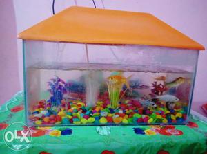 Red Fish Aquarium in very good condition with all
