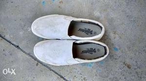 Roadster white canvas sneakers. Size: 8. Gives a