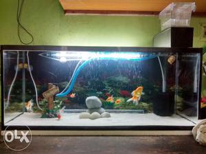 This awesome 2.5feet aquarium is for sell!