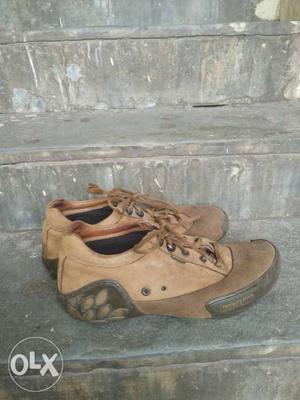 Wood land genuine and original shoes. Shoe size 7