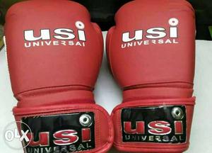 USI Boxing gloves(10oz)