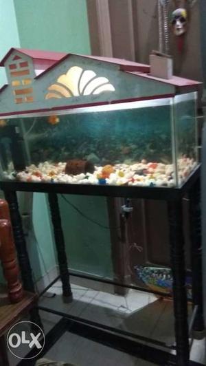 2.5 X 1/1 ft aquarium with heavy metal stand,air filter,