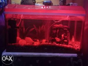 2 feet fish tank fully decorated with cover