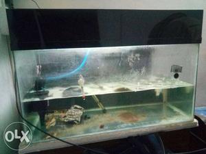 3ft 1.5ft 1.5ft aquarium with black box cover and
