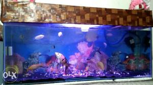 4Feet long fish aquarium 5month onliy