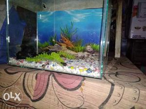 Aquarium In New Condition with