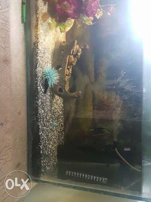 Aquarium for sale