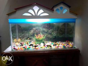 Aquarium for sale in good condition, 2ft size