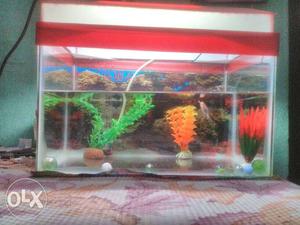 Aquarium with red frame and shade