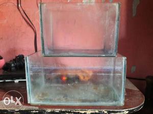 Betta fish tank for good condition